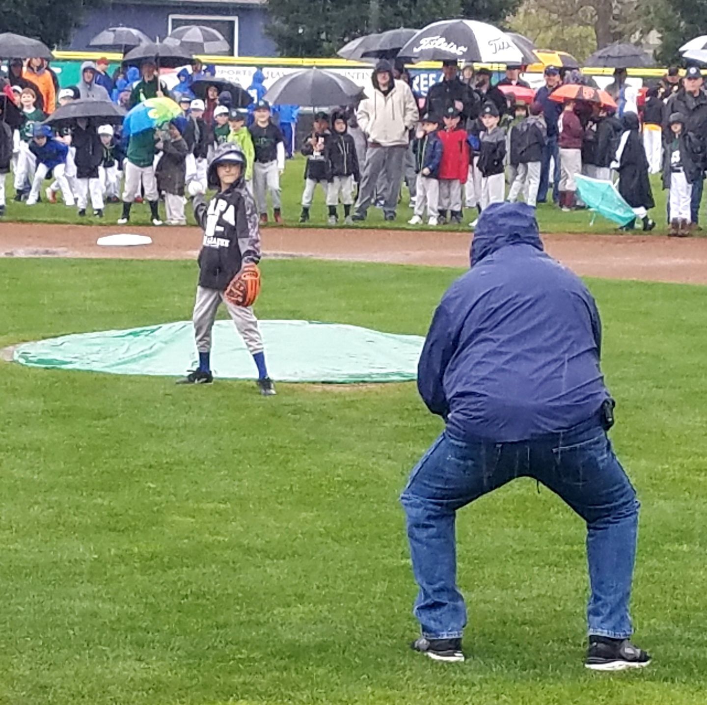 Napa Little League Opening Day